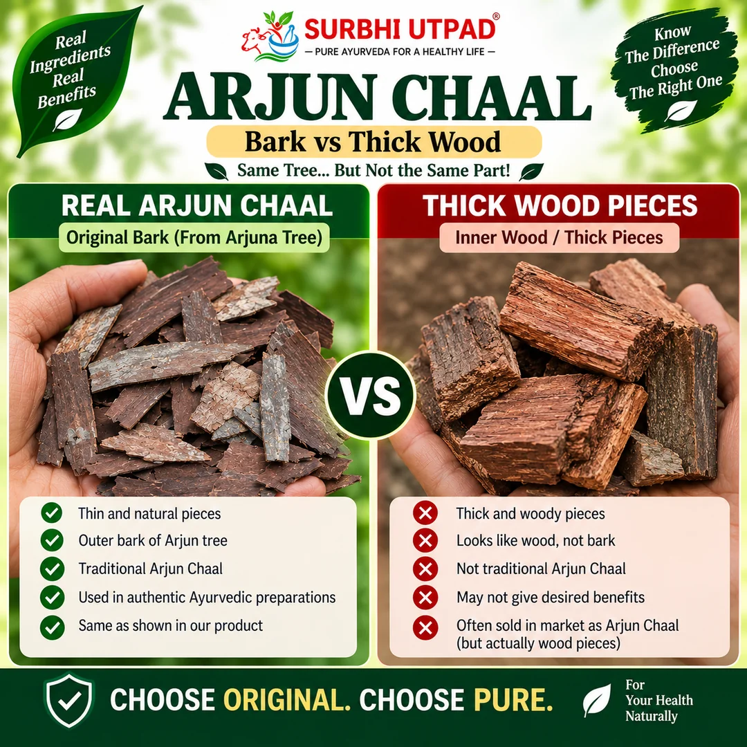 Arjun_Chaal_Image_2_1080x1080