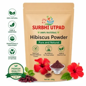 Hibiscus Powder - pure and natural hibiscus flower powder pouch by Surbhi Utpad