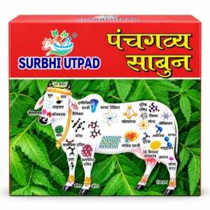 Handmade Panchgavya Herbal Bath Soap - box packaging with Panchgavya cow diagram and neem leaves