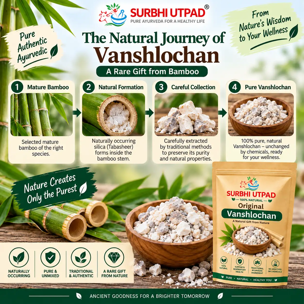 vanshlochan-original-3