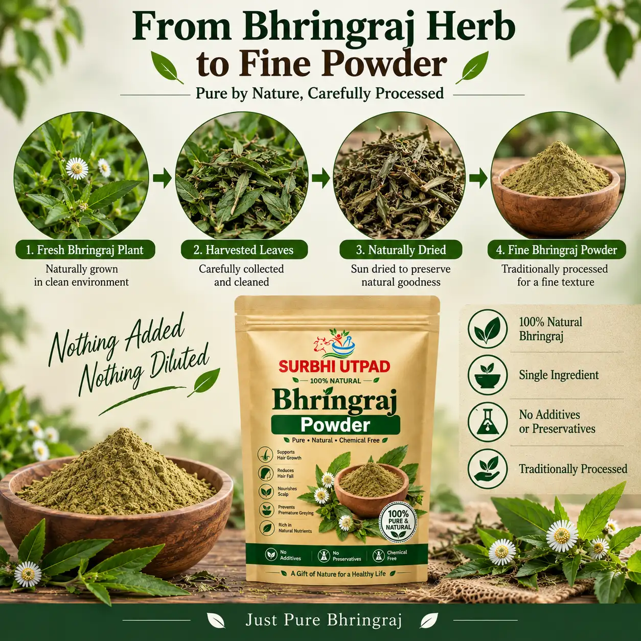 Bhringraj-Powder-2