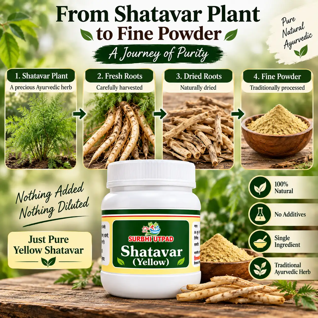 Yellow-Shatavar-Powder-2